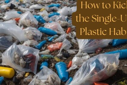 How to Kick the Single-Use Plastic Habit