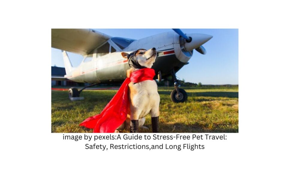 We will also delve into the types of pets allowed and the restrictions you need to be aware of. Additionally, we'll discuss how pets travel on long flights to help you plan for their comfort and convenience.