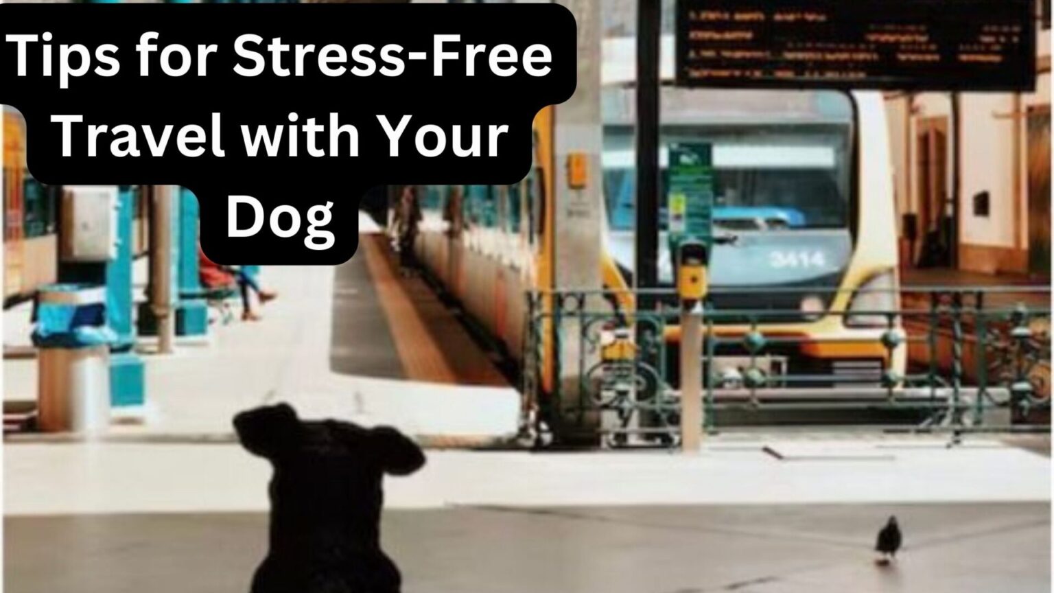 Tips for Stress-Free Travel with Your Dog