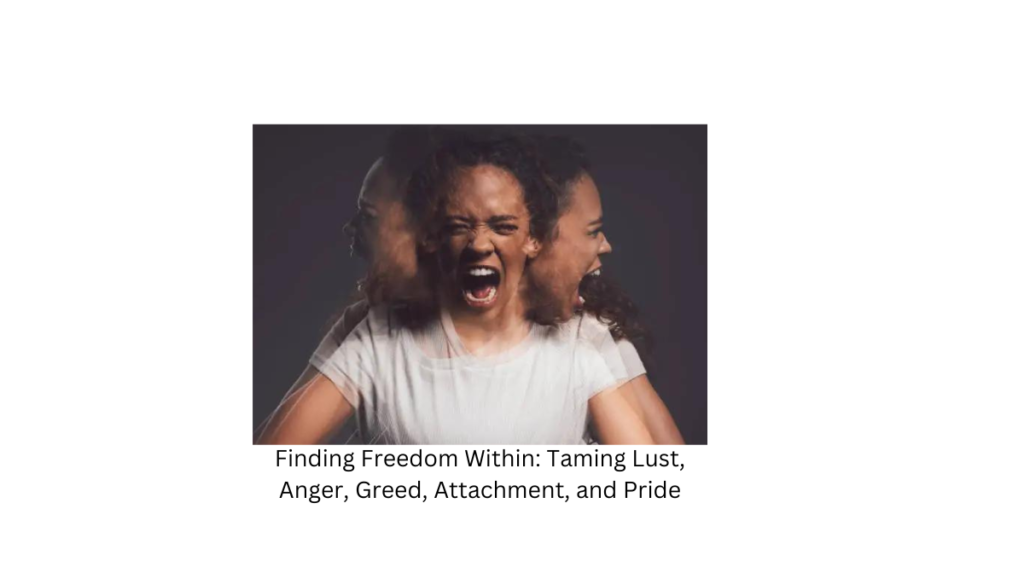 Controlling the forces of lust, anger, greed, attachment, and pride is a complex and ongoing process that requires self-awareness, mindfulness, and personal growth. Here are some strategies to help you navigate and control these powerful emotions and tendencies: