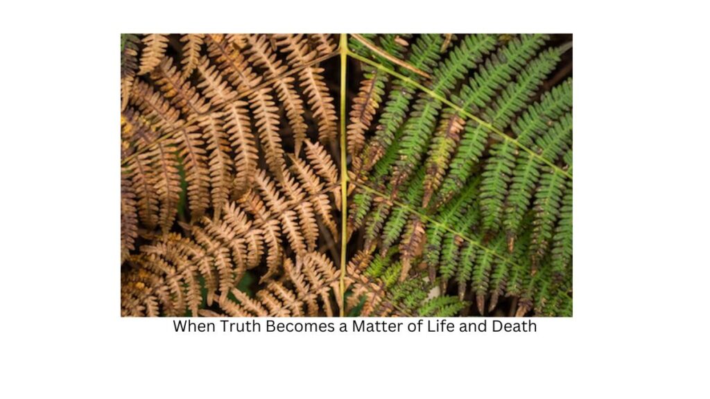 Life and Death: When Truth Becomes a Matter of Life and Death