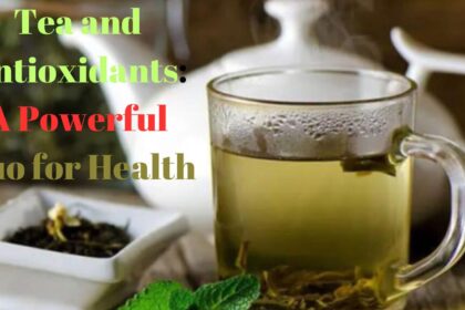 Tea and Antioxidants:A Powerful Duo for Health