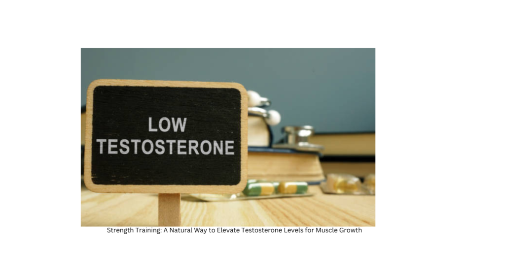 The Link Between Strength Training and Testosterone