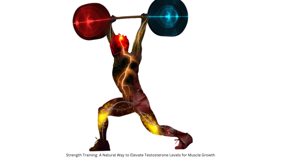 One of the most significant ways strength training enhances testosterone levels is through muscle hypertrophy—the process of muscle growth. As you consistently challenge your muscles with resistance exercises, they adapt by getting larger and stronger.