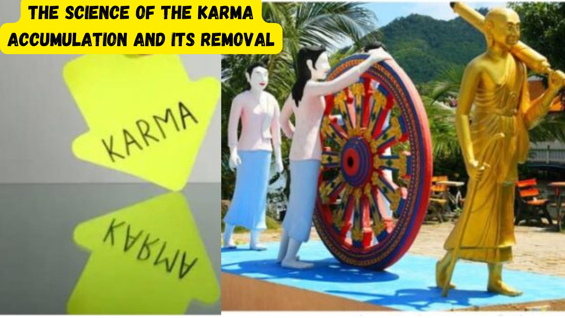 The Science of the Karma Accumulation and Its Removal