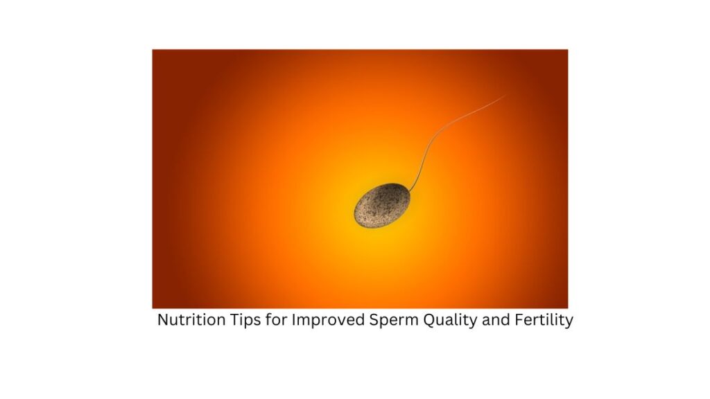 In the realm of reproductive health, the role of nutrition should never be underestimated. Many factors influence sperm quality and fertility, and a balanced diet plays a pivotal role in optimizing male reproductive health. In this article, we will explore essential nutrition tips that can enhance sperm quality and increase fertility in men