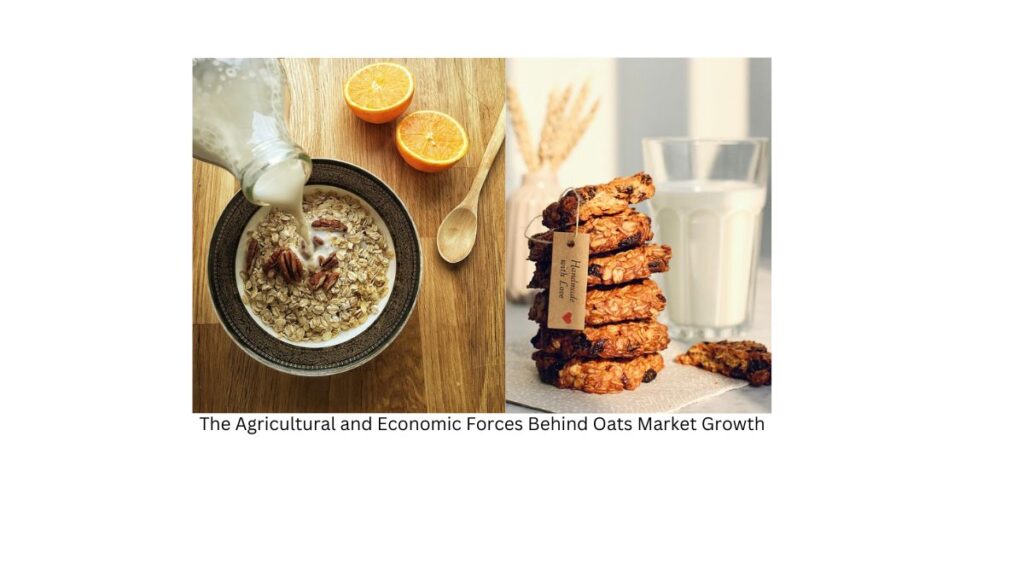 The Agricultural and Economic Forces Behind Oats Market Growth