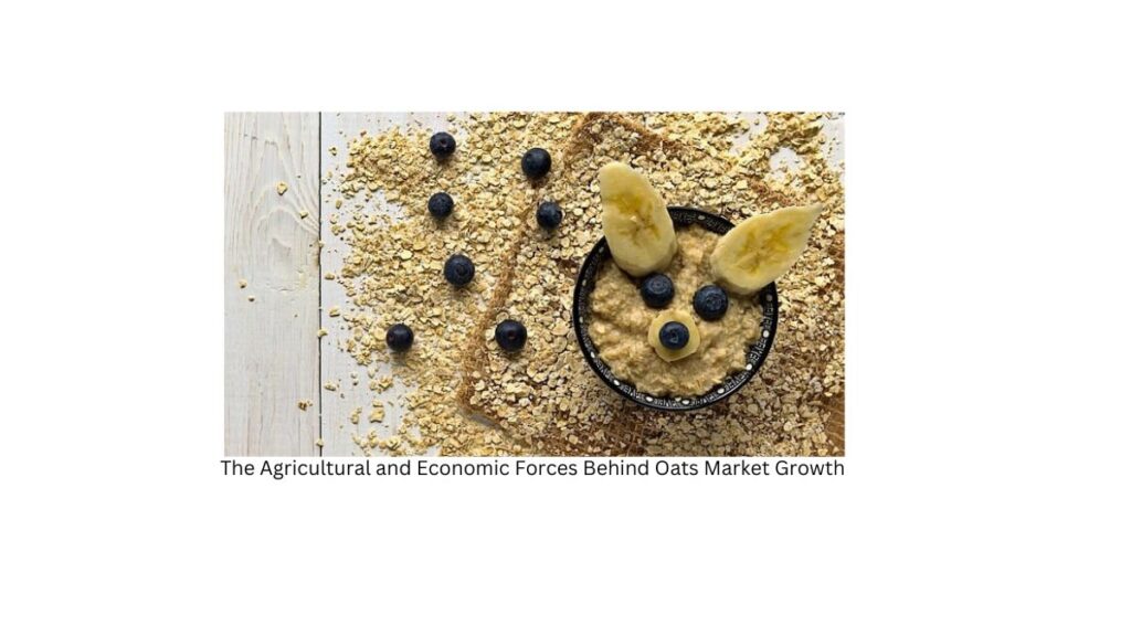 The Oats Boom: An Overview of Oats Market Growth