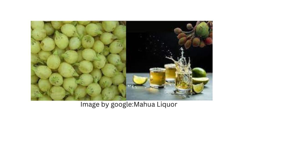 Mahua Liquor: Unveiling the Health Benefits and Risks