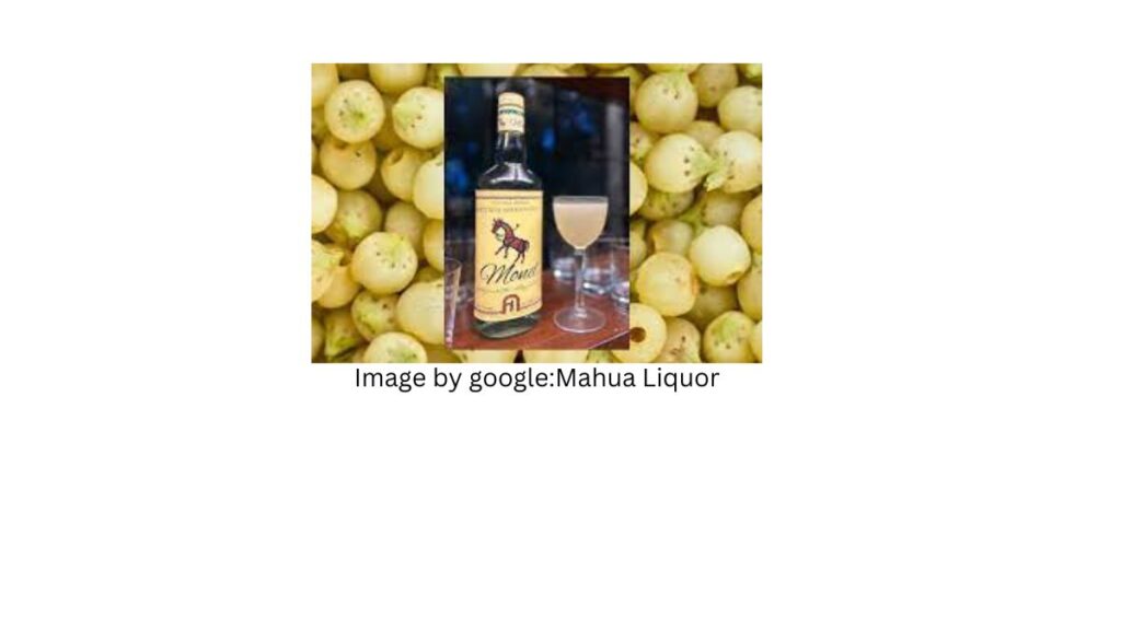 The impact of Mahua liquor on health compared to other liquors is not definitively established, and it can vary depending on several factors. It's essential to note that excessive or irresponsible consumption of any alcoholic beverage can have negative health effects. Here are some considerations regarding Mahua liquor and its potential health impact: