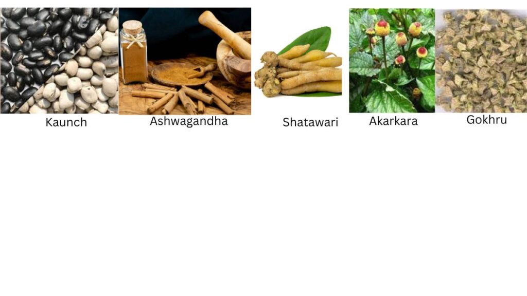 While combining Kaunch powder, Ashwagandha powder, Shatavari powder, Gokhru powder, and Akarkara powder can create a potent herbal blend, it's crucial to approach their consumption with care. Herbal supplements may have individual effects, and their combination could impact individuals differently. Before starting any new supplement regimen, it's advisable to consult with a healthcare professional, especially if you have pre-existing health conditions or are taking medications.