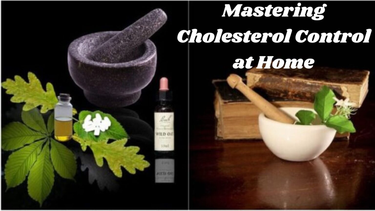 Mastering Cholesterol Control at Home: Trustworthy and Effective Natural Remedies