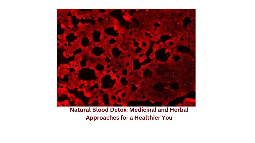 Natural Blood Detox: Medicinal and Herbal Approaches for a Healthier You