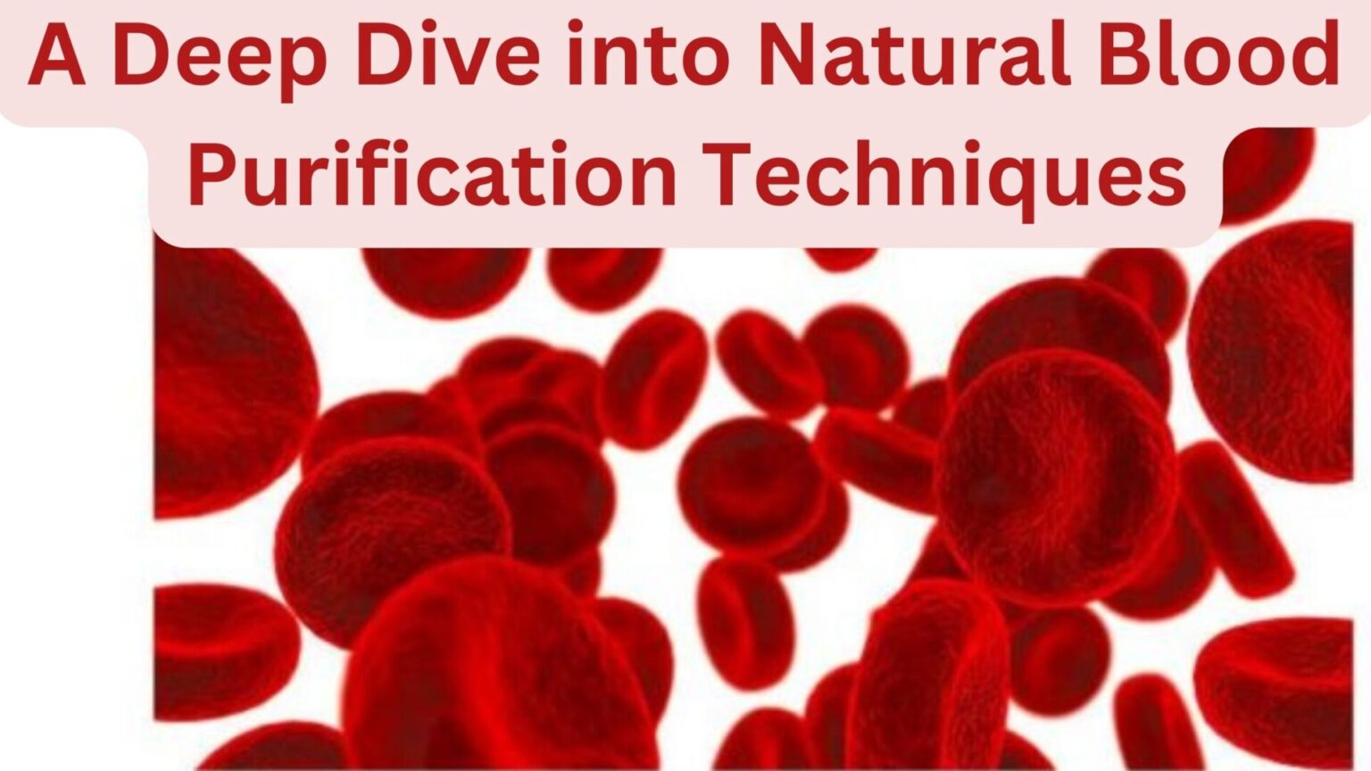 A Deep Dive into Natural Blood Purification Techniques