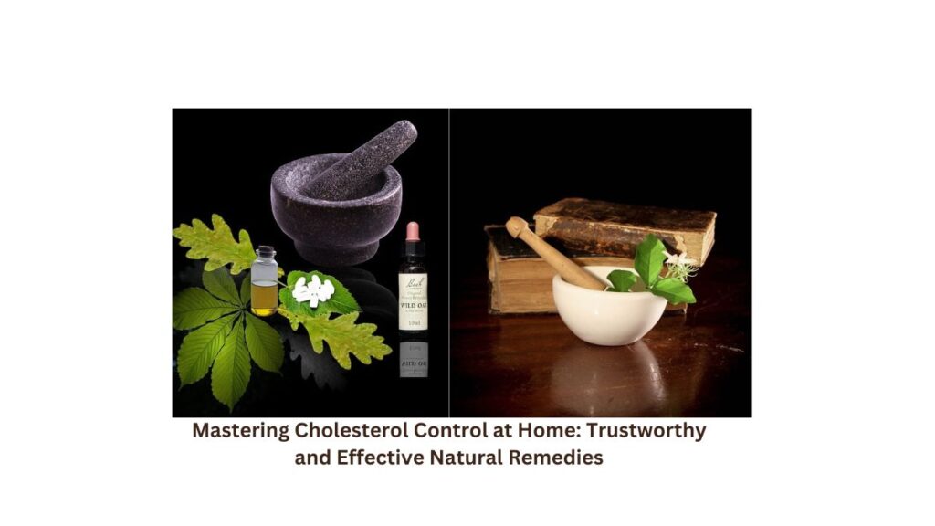 Now that we've established the benefits of turning to nature for cholesterol management, let's delve into specific and effective natural remedies that have proven track records in promoting a healthier lipid profile.
