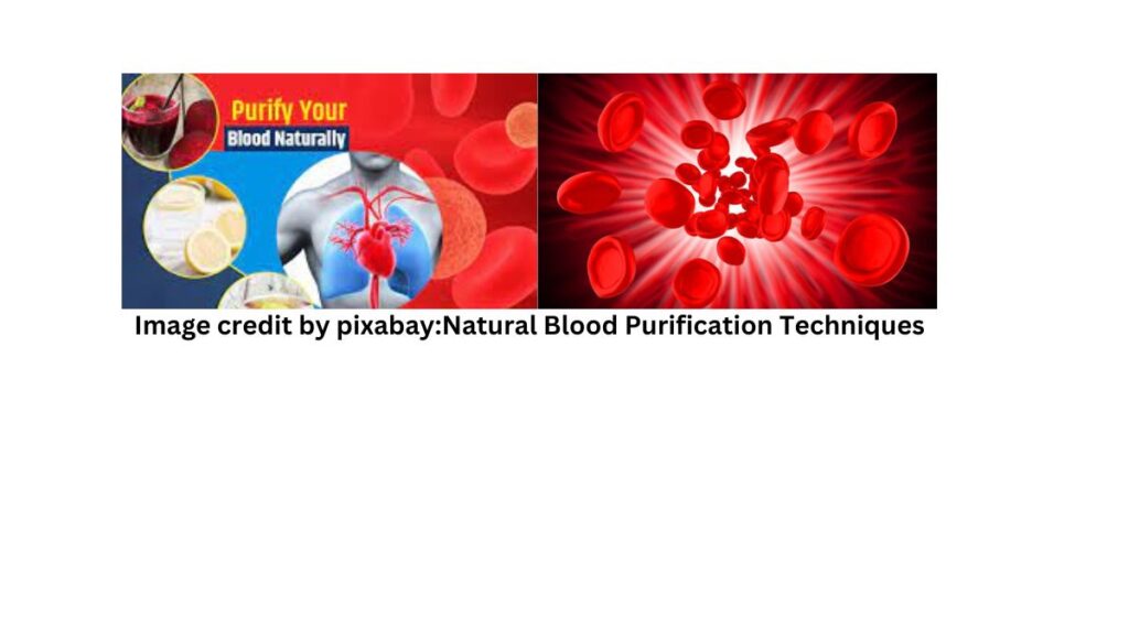How to clean your blood at home by Natural Blood Purification Techniques?