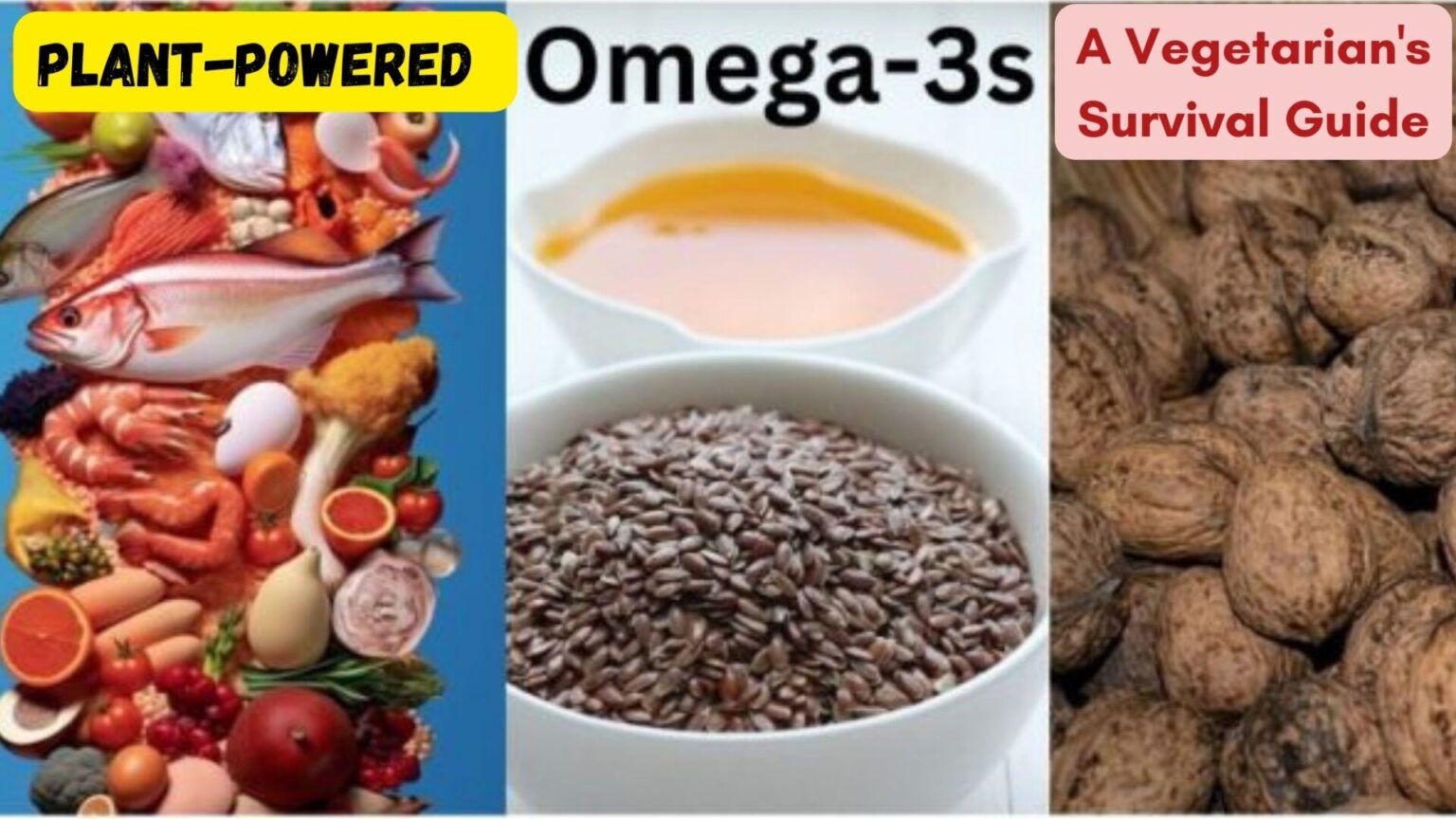 Plant-Powered Omega-3s: A Vegetarian's Survival Guide
