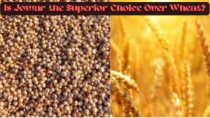 Is Jowar the Superior Choice Over Wheat?