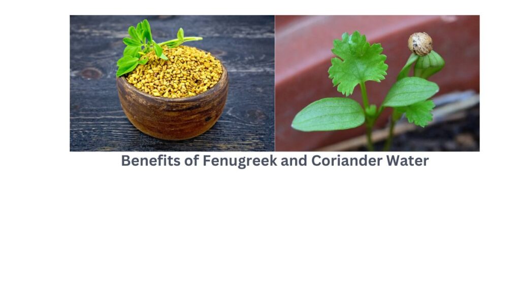 Benefits of Fenugreek and Coriander Water