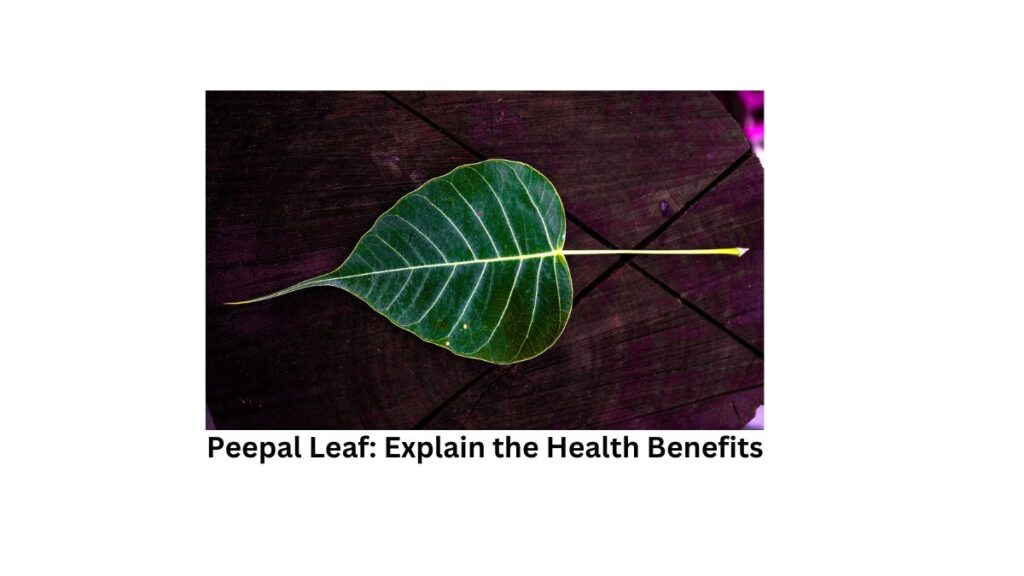 Peepal Leaf: Explain the Health Benefits