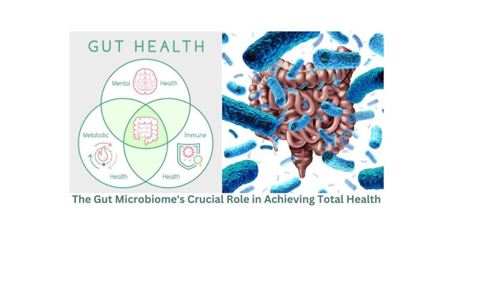 Inside Out: Unveiling the Gut Microbiome's Crucial Role in Achieving Total Health