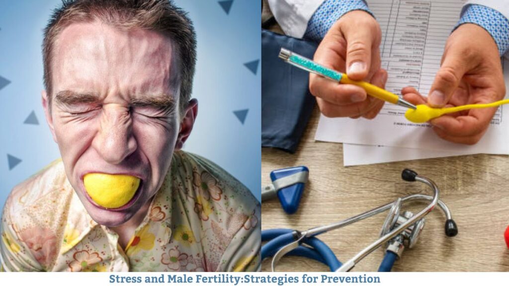 Stress and Male Fertility:Strategies for Prevention