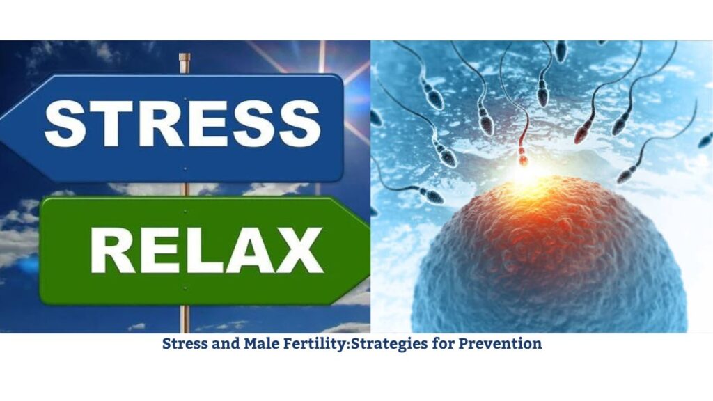 Stress and Male Fertility:Strategies for Prevention