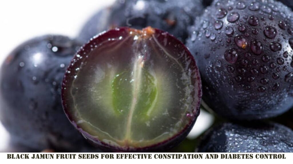 Black Jamun Fruit Seeds for Effective Constipation and Diabetes Control