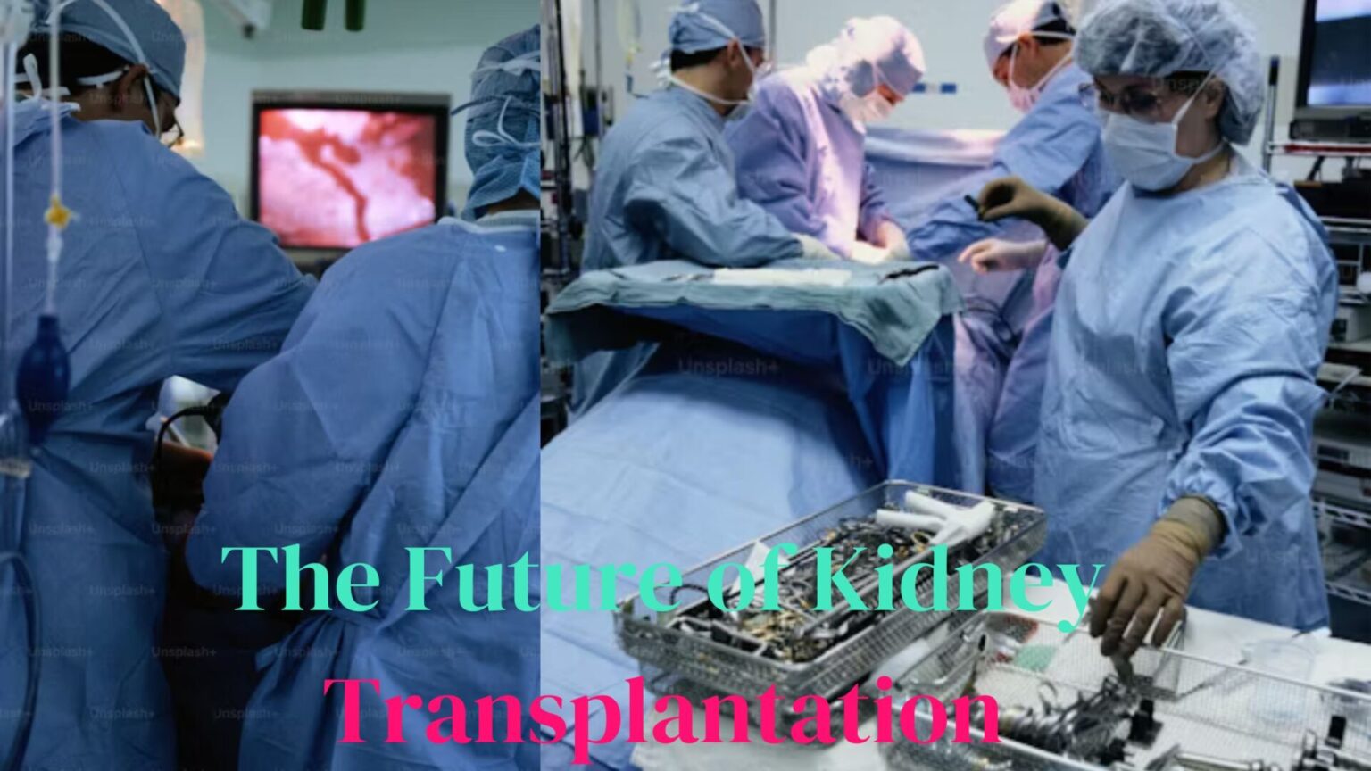 Unlocking the Potential: The Future of Kidney Transplantation and Recovery