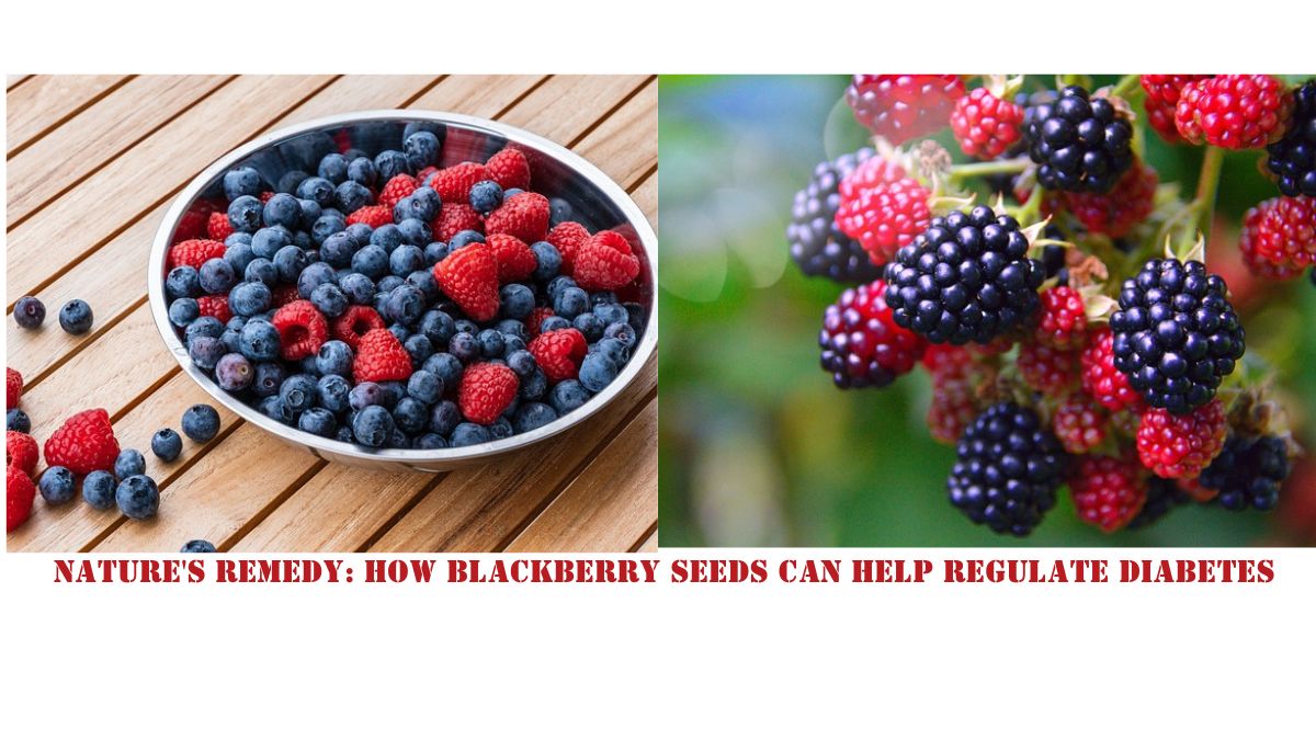 Nature's Remedy: How Blackberry Seeds Can Help Regulate Diabetes