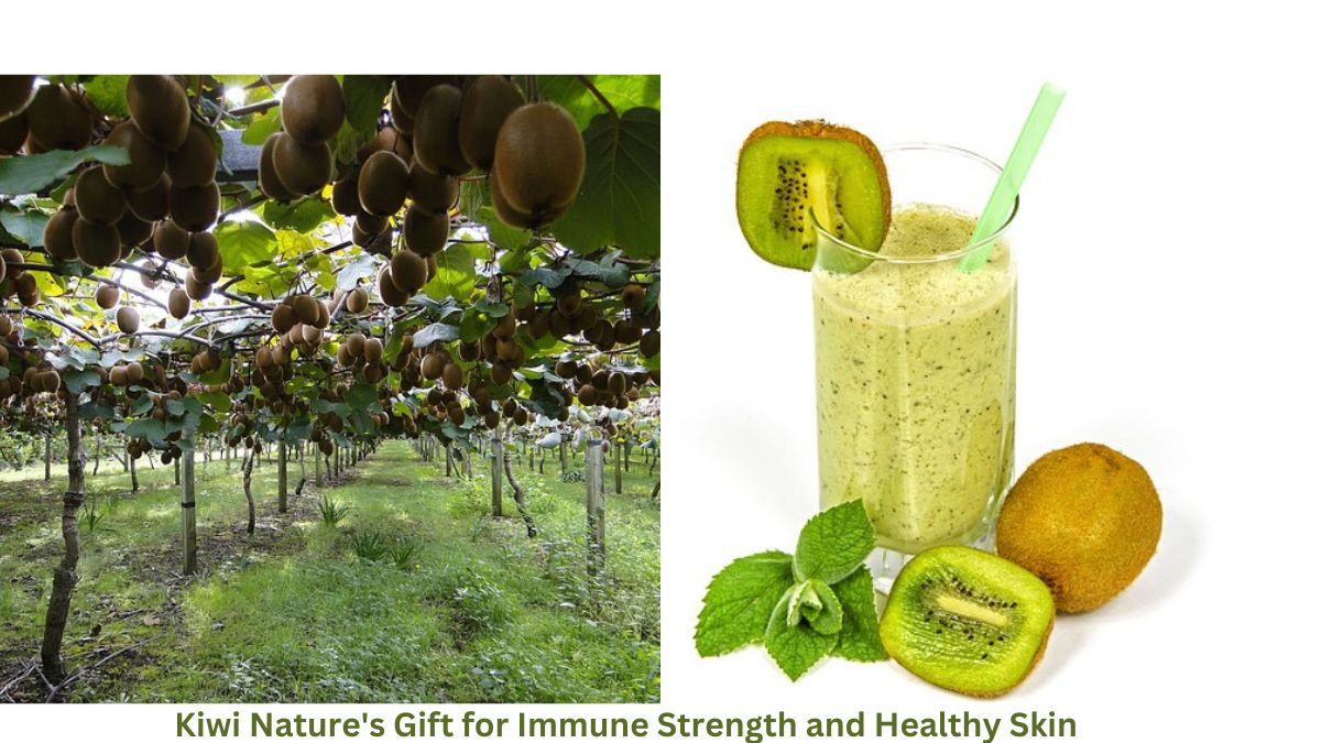 Kiwi Nature's Gift for Immune Strength and Healthy Skin