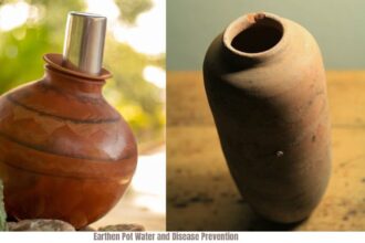 Unveiling Nature's Secret: Earthen Pot Water and Disease Prevention