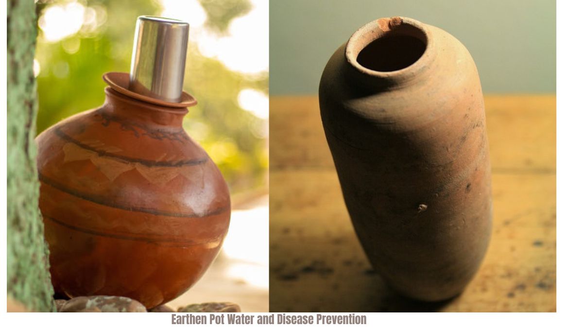 Unveiling Nature's Secret: Earthen Pot Water and Disease Prevention