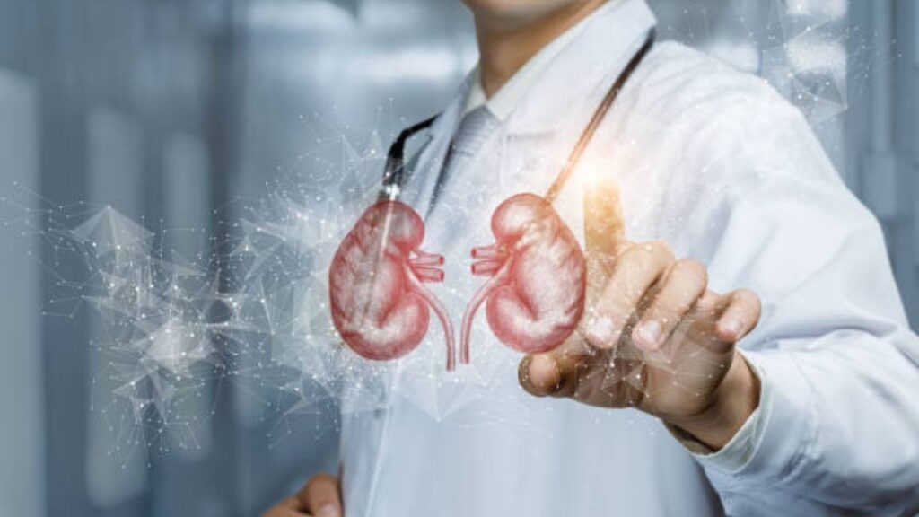 Unlocking the Potential: The Future of Kidney Transplantation and Recovery