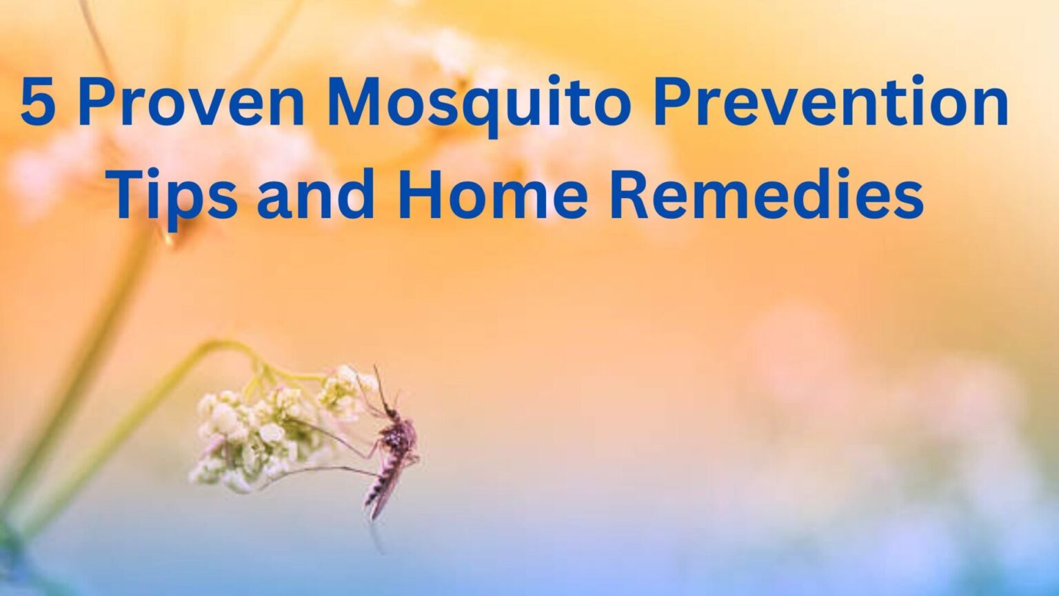 5 Proven Mosquito Prevention Tips and Home Remedies