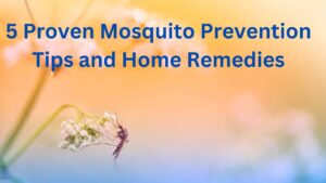 5 Proven Mosquito Prevention Tips and Home Remedies