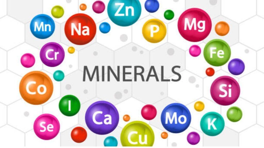In the pursuit of optimal health and well-being, the significance of essential minerals such as calcium, magnesium, and zinc cannot be overstated. These minerals, abundantly found in nature, play a pivotal role in maintaining various bodily functions and are crucial for overall health. Let's delve into the importance of these minerals and explore their natural sources in food.