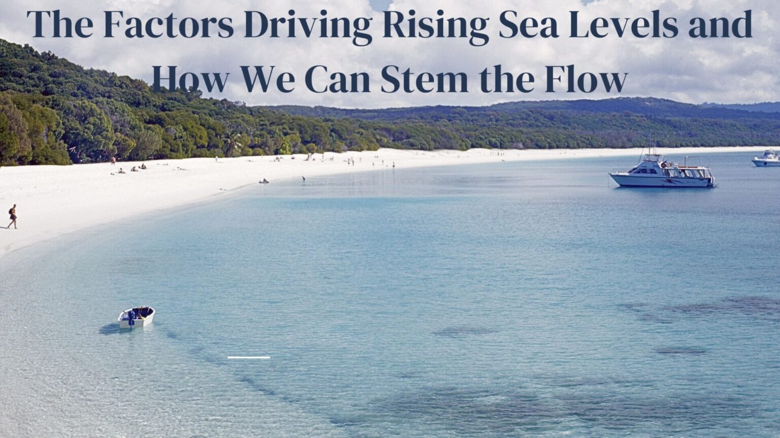 The Factors Driving Rising Sea Levels and How We Can Stem the Flow