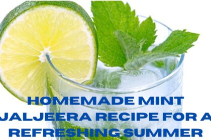 Homemade Mint Jaljeera Recipe for a Refreshing Summer