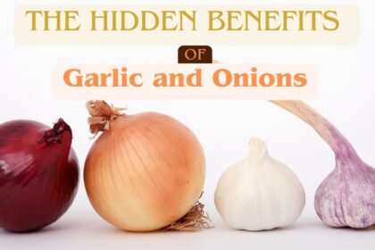 Savoring Health: Unveiling the Hidden Benefits of Garlic and Onions"