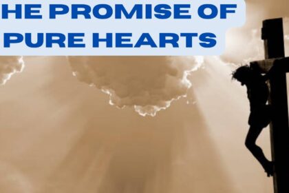 The Promise of Pure Hearts