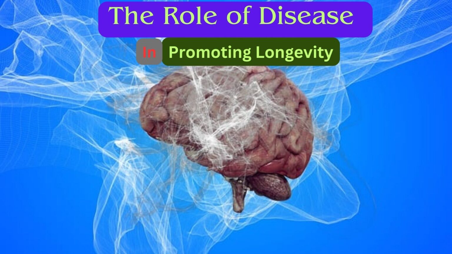 The Role of Disease in Promoting Longevity