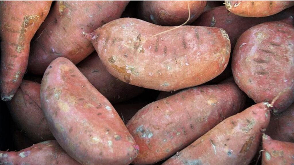 Fresh Ideas for Sweet Potato Delights