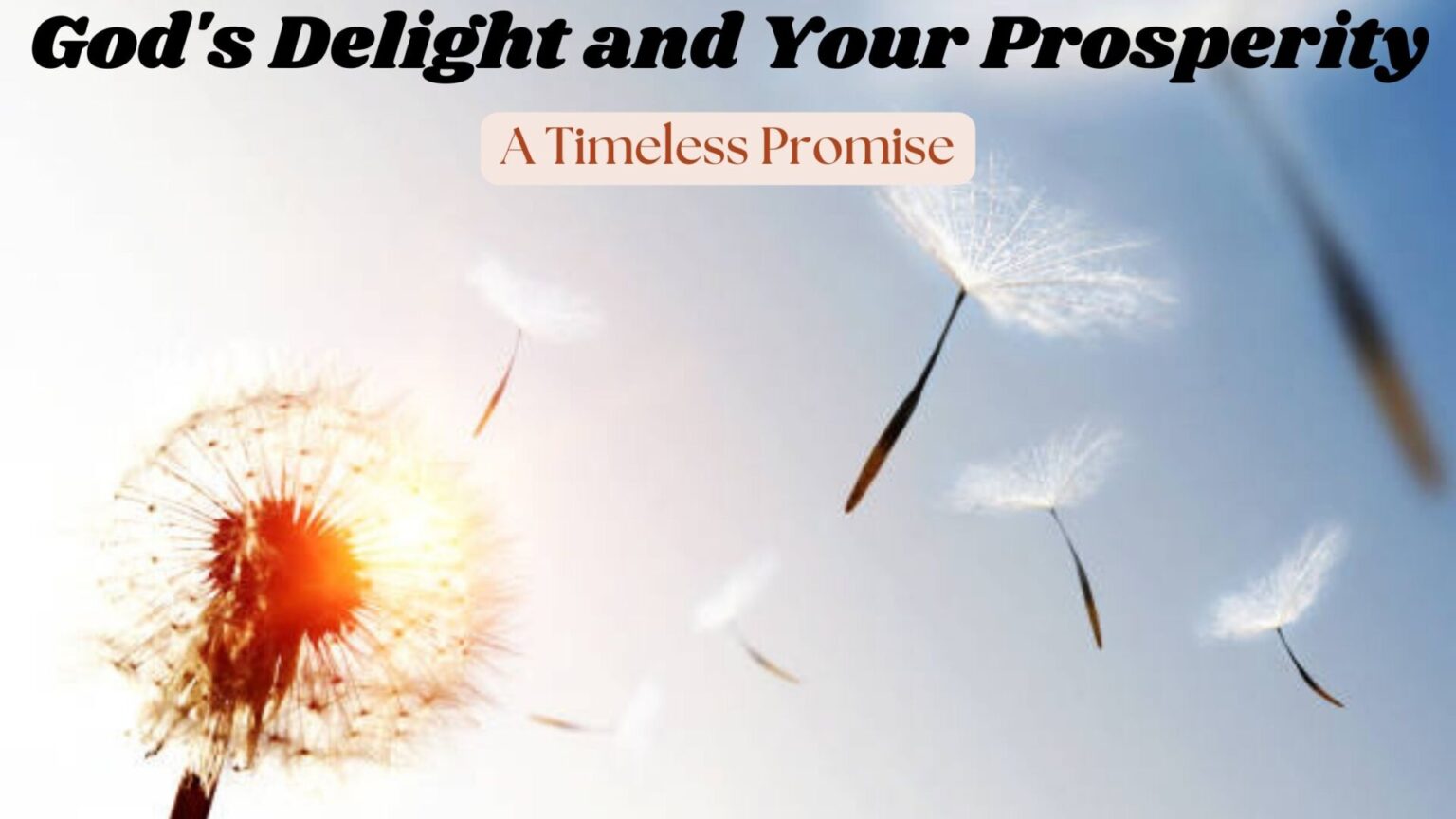 God's Delight and Your Prosperity: A Timeless Promise