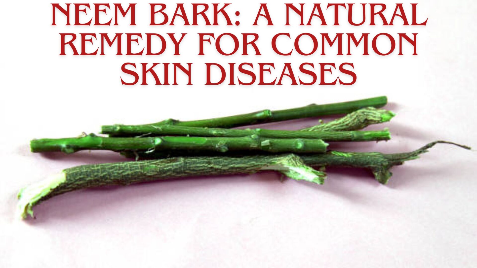 Neem Bark: A Natural Remedy for Common Skin Diseases