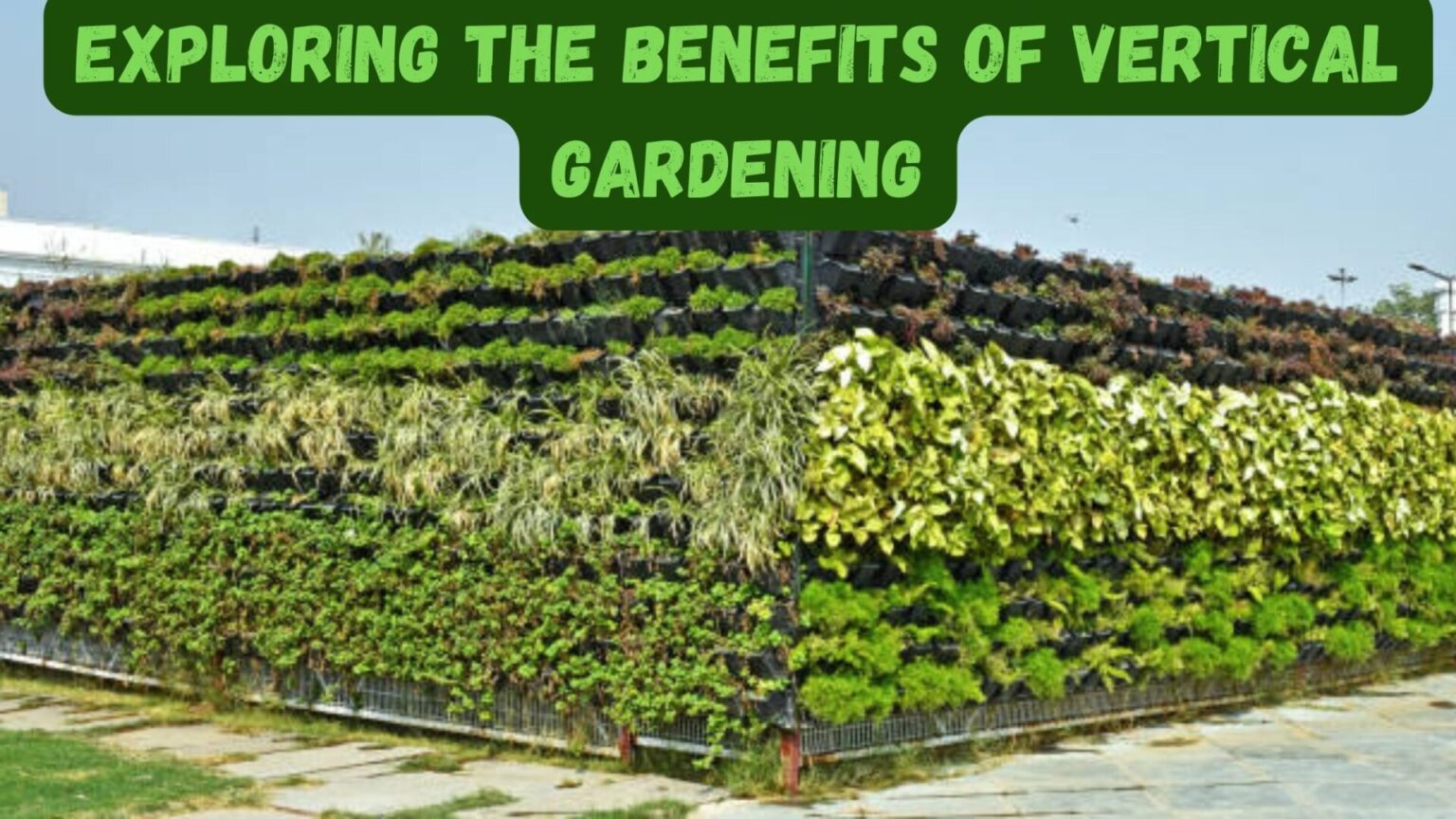 Exploring the Benefits of Vertical Gardening
