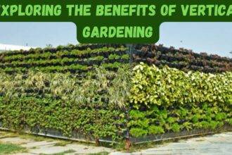 Exploring the Benefits of Vertical Gardening