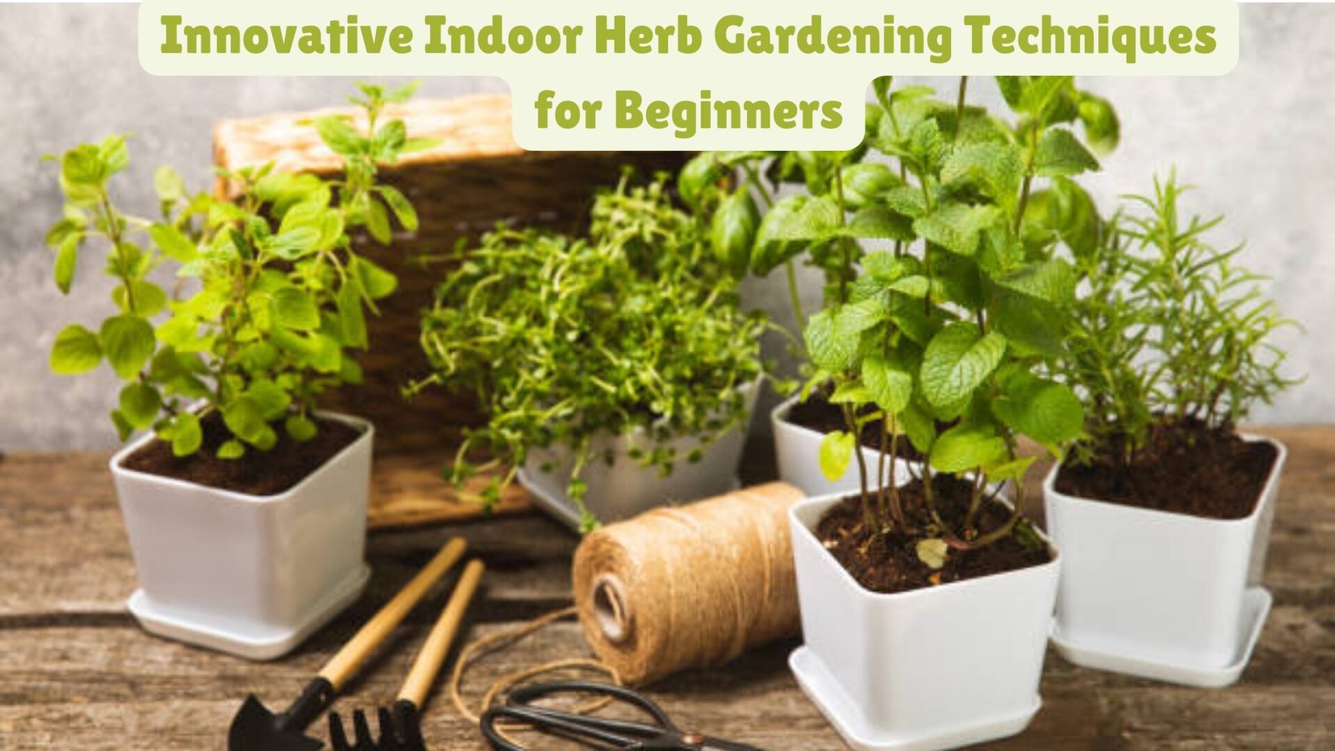 Innovative Indoor Herb Gardening Techniques for Beginners