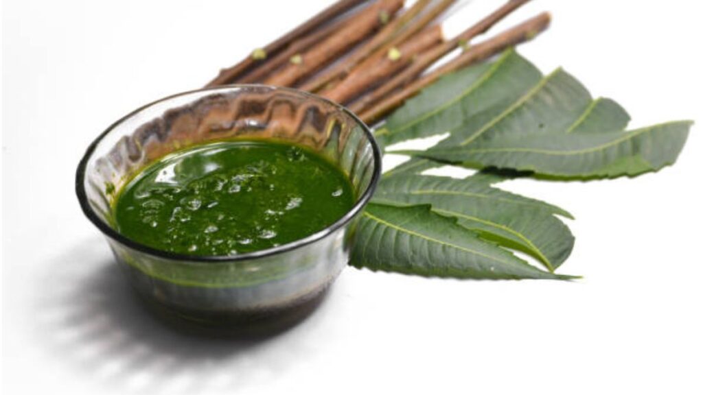 Neem Bark: A Natural Remedy for Common Skin Diseases