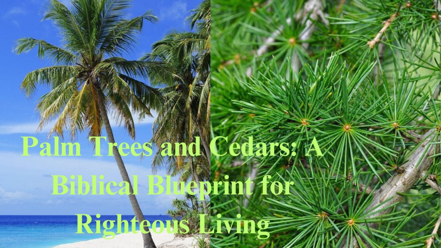 Palm Trees and Cedars A Biblical Blueprint for Righteous Living